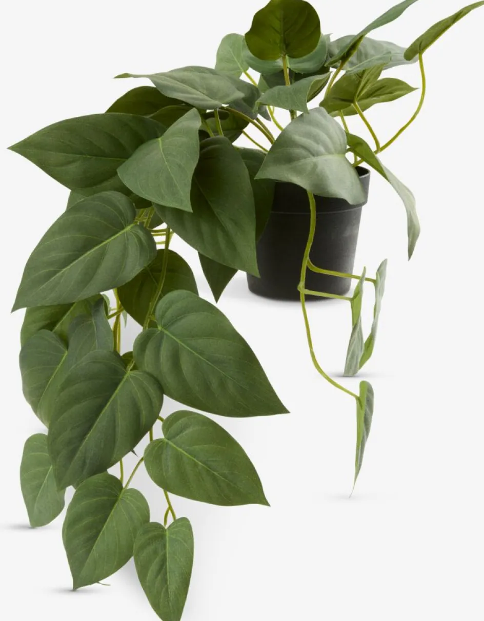 ANDERSENPlante artificielle ANDERSEN L43cm à suspendre-JYSK Clearance