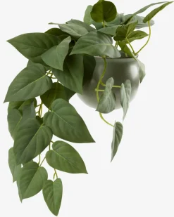 ANDERSENPlante artificielle ANDERSEN L43cm à suspendre-JYSK Clearance
