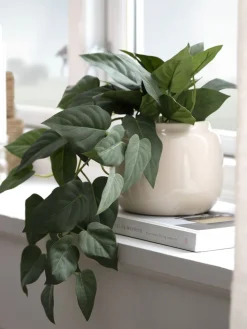 ANDERSENPlante artificielle ANDERSEN L43cm à suspendre-JYSK Clearance