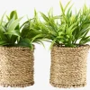 BERTRAMPlante artificielle BERTRAM Ø8xH18cm assorti-JYSK