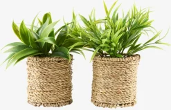 BERTRAMPlante artificielle BERTRAM Ø8xH18cm assorti-JYSK