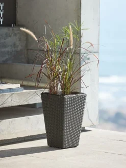 BLOMMORPanier pour plantes BLOMMOR l31xL31xH50-JYSK Clearance