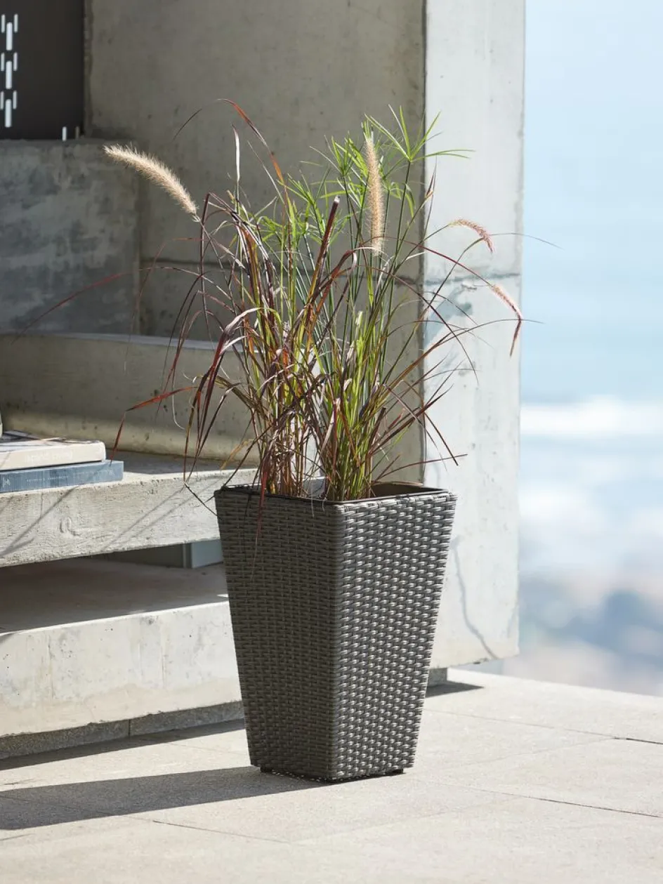 BLOMMORPanier pour plantes BLOMMOR l31xL31xH50-JYSK Clearance