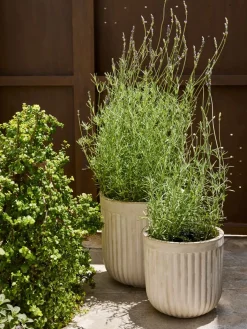 BRILLEANDBac à fleurs BRILLEAND Ø29xH29 naturel-JYSK Hot