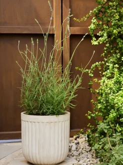 BRILLEANDBac à fleurs BRILLEAND Ø29xH29 naturel-JYSK Hot