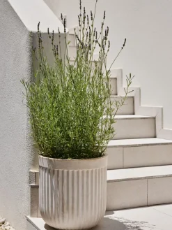 BRILLEANDBac à fleurs BRILLEAND Ø37xH37 naturel-JYSK Best