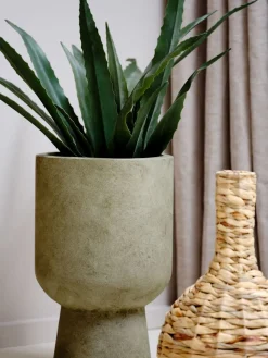 CELIUSPlante artificielle CELIUS H65cm aloe vera-JYSK Outlet