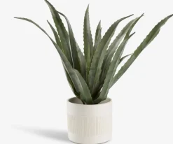CELIUSPlante artificielle CELIUS H65cm aloe vera-JYSK Outlet