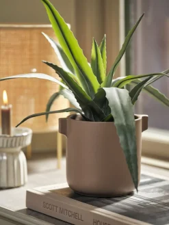 CELIUSPlante artificielle CELIUS H39cm vert-JYSK Discount