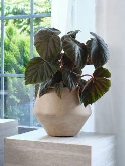 GERMUNDCache-pot GERMUND Ø34xH29cm brun-JYSK Outlet