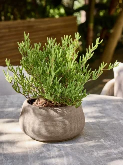 GRESSHUMLEBac à fleurs GRESSHUMLE Ø23xH12 brun-JYSK Sale