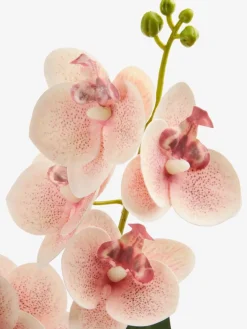 GUDJONPlante artificielle GUDJON H35cm orchidée rose-JYSK