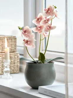 GUDJONPlante artificielle GUDJON H35cm orchidée rose-JYSK