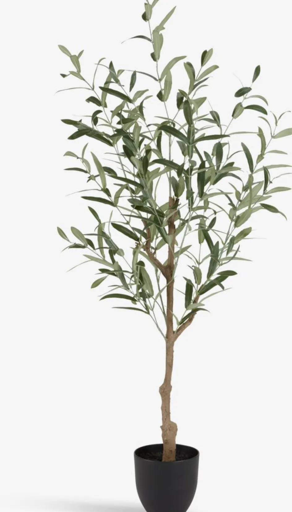 HAVHESTPlante artificielle HAVHEST H125cm olive-JYSK Online