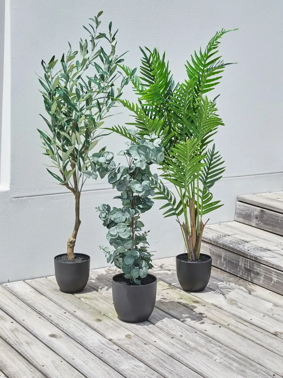 HAVHESTPlante artificielle HAVHEST H125cm olive-JYSK Online