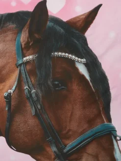 HILDURPlusParure de lit HILDUR 140x200 rose-JYSK Clearance