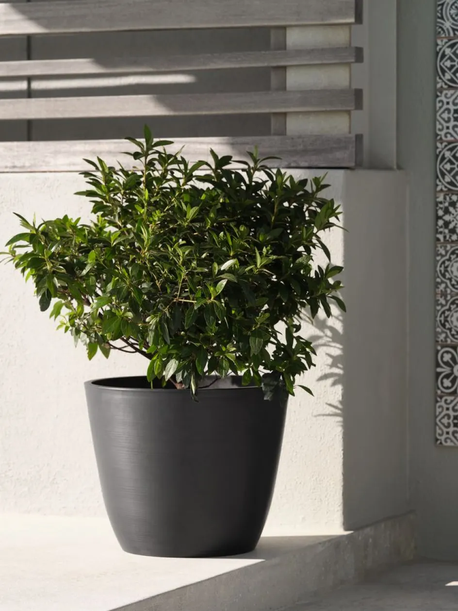 HVEPSBac à fleurs HVEPS Ø53xH41 gris-JYSK Outlet