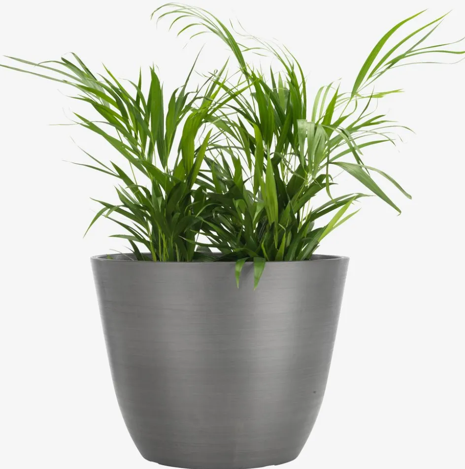 HVEPSBac à fleurs HVEPS Ø53xH41 gris-JYSK Outlet