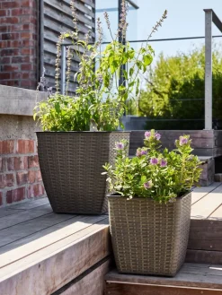 ISLOMPanier pour plantes ISLOM 31x31x32 l-JYSK Clearance