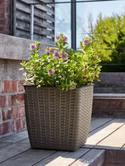 ISLOMPanier pour plantes ISLOM 31x31x32 l-JYSK Clearance