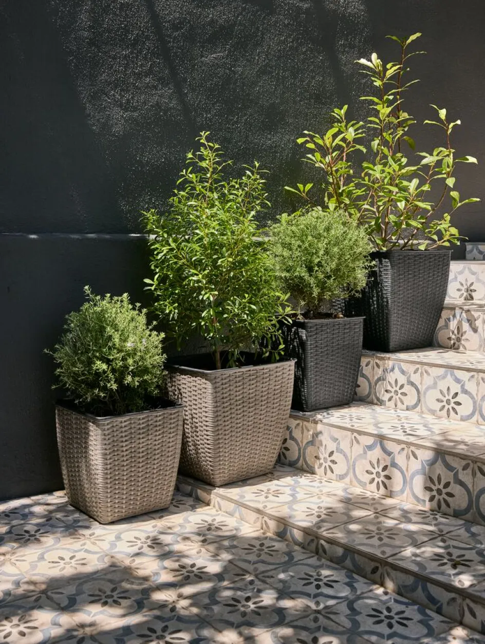 ISLOMPanier pour plantes ISLOM 31x31x32-JYSK Hot