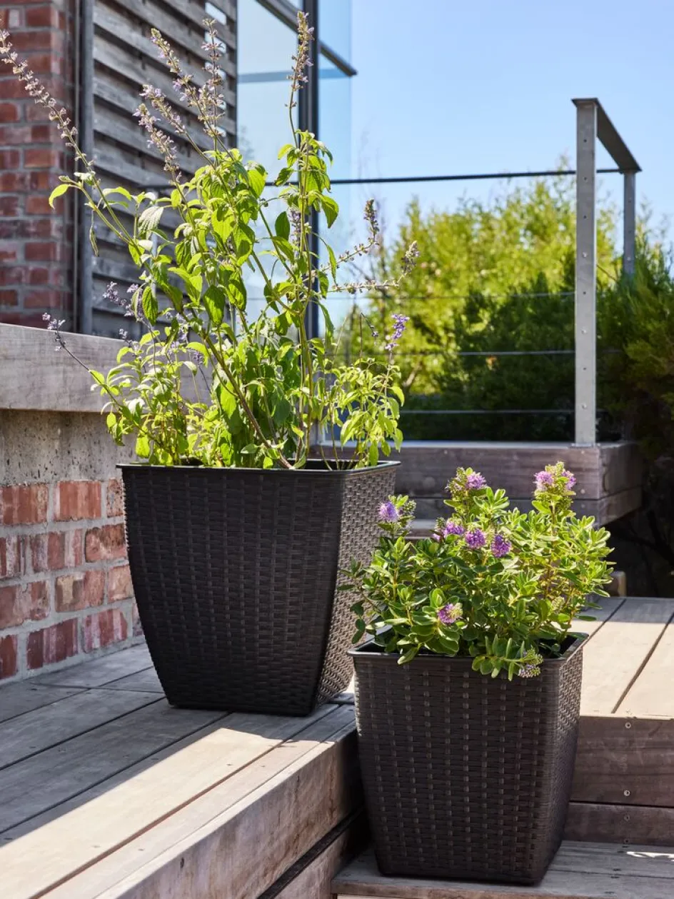 ISLOMPanier pour plantes ISLOM 31x31x32-JYSK Hot