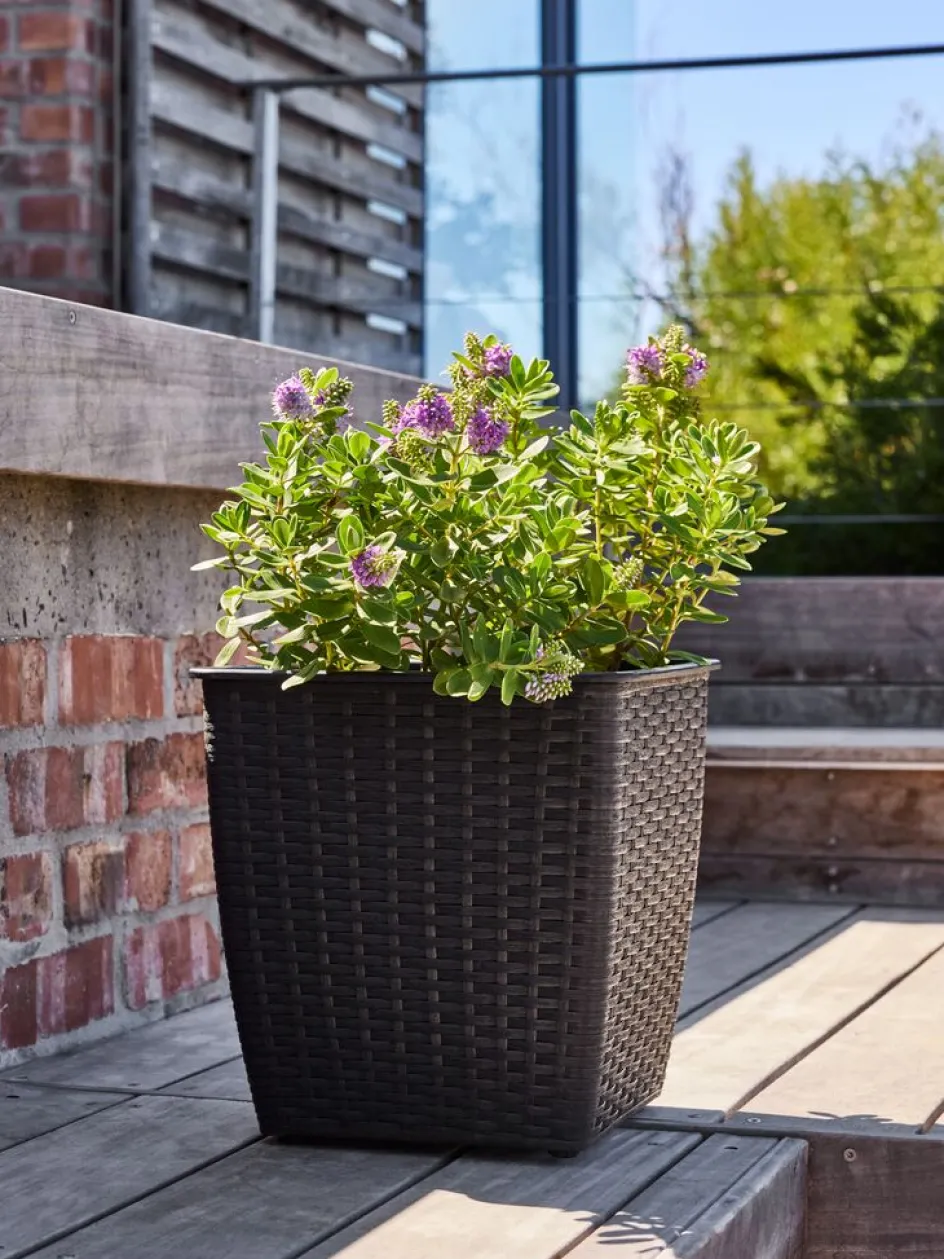 ISLOMPanier pour plantes ISLOM 31x31x32-JYSK Hot