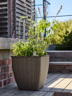 ISLOMPanier pour plantes ISLOM 38x38x39 l-JYSK Best