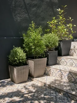 ISLOMPanier pour plantes ISLOM 38x38x39 l-JYSK Best