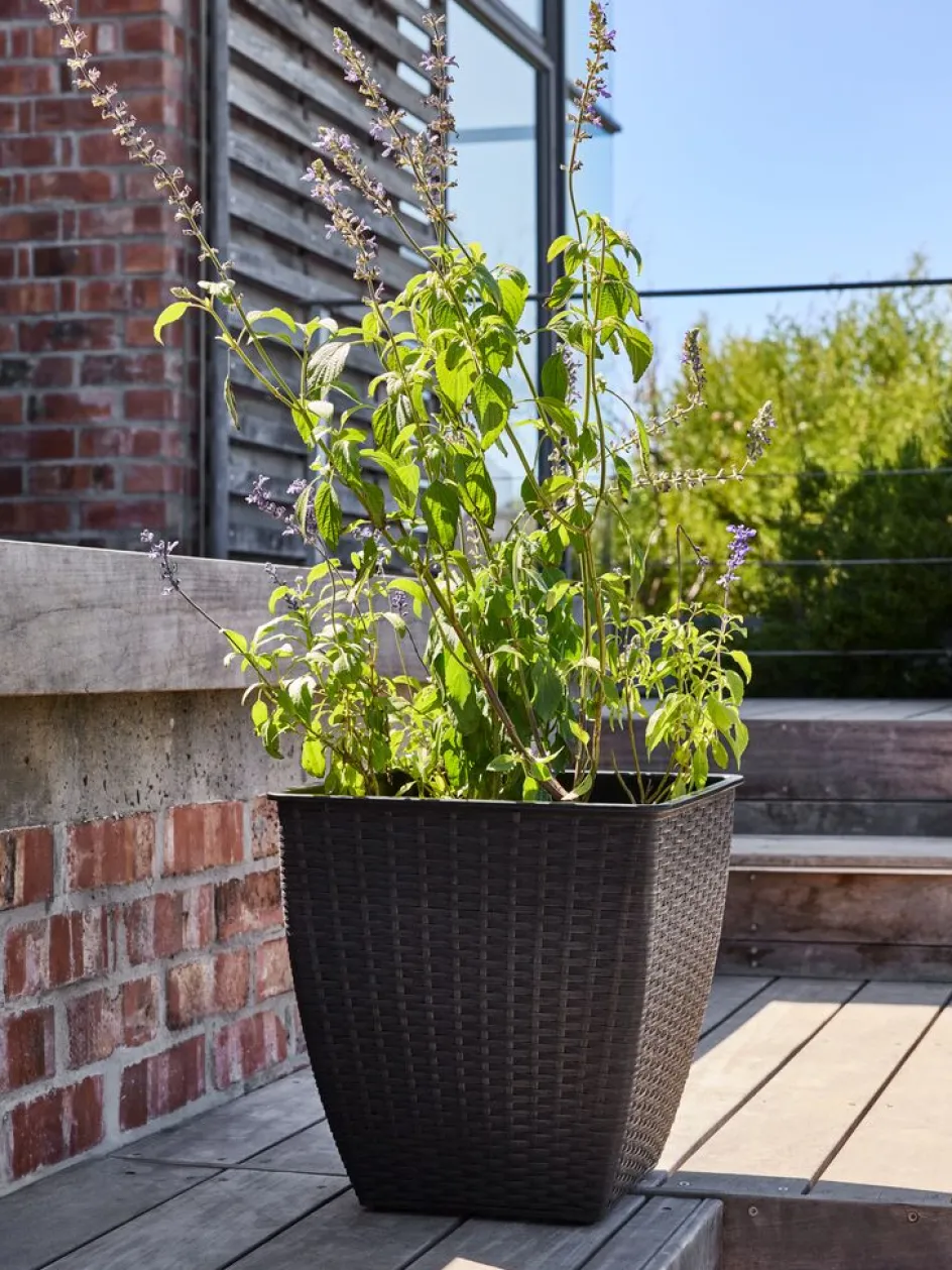 ISLOMPanier pour plantes ISLOM 38x38x39-JYSK Sale