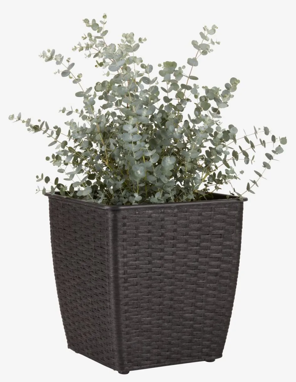 ISLOMPanier pour plantes ISLOM 31x31x32-JYSK Best