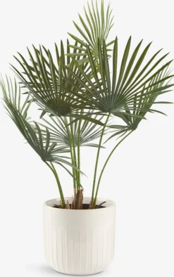 JAKOBPlante artificielle JAKOB H73cm vert-JYSK Outlet
