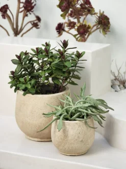 JERPEBac à fleurs JERPE Ø31/21 naturel 2pcs/lot-JYSK Best