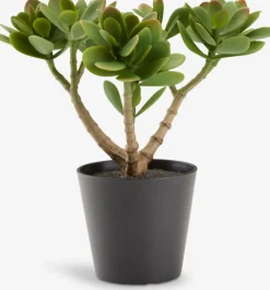 JOSTEINPlante artificielle JOSTEIN H23cm vert-JYSK Outlet