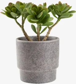 JOSTEINPlante artificielle JOSTEIN H23cm vert-JYSK Outlet