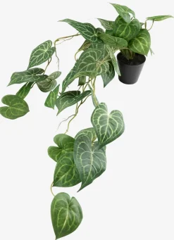 KNOPPSVANEPlante artificielle KNOPPSVANE H30cm vert-JYSK Online