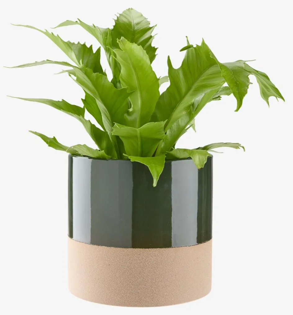 KRAGEBac à fleurs KRAGE Ø16xH15 vert foncé-JYSK New