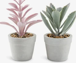 LOVEPlante artificielle LOVE Ø7xH15 ass.-JYSK Outlet