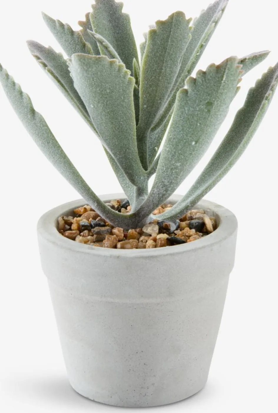 LOVEPlante artificielle LOVE Ø7xH15 ass.-JYSK Outlet