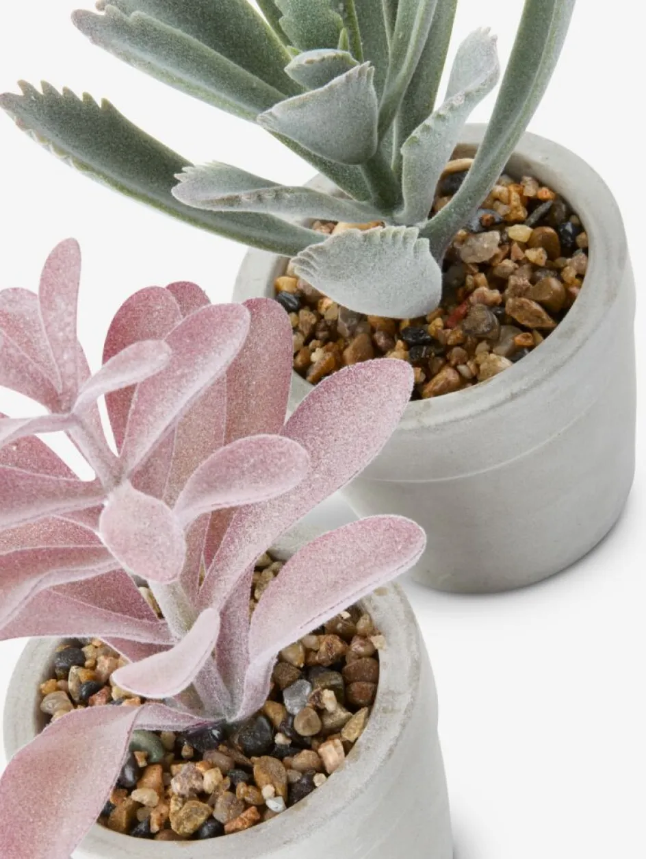 LOVEPlante artificielle LOVE Ø7xH15 ass.-JYSK Outlet