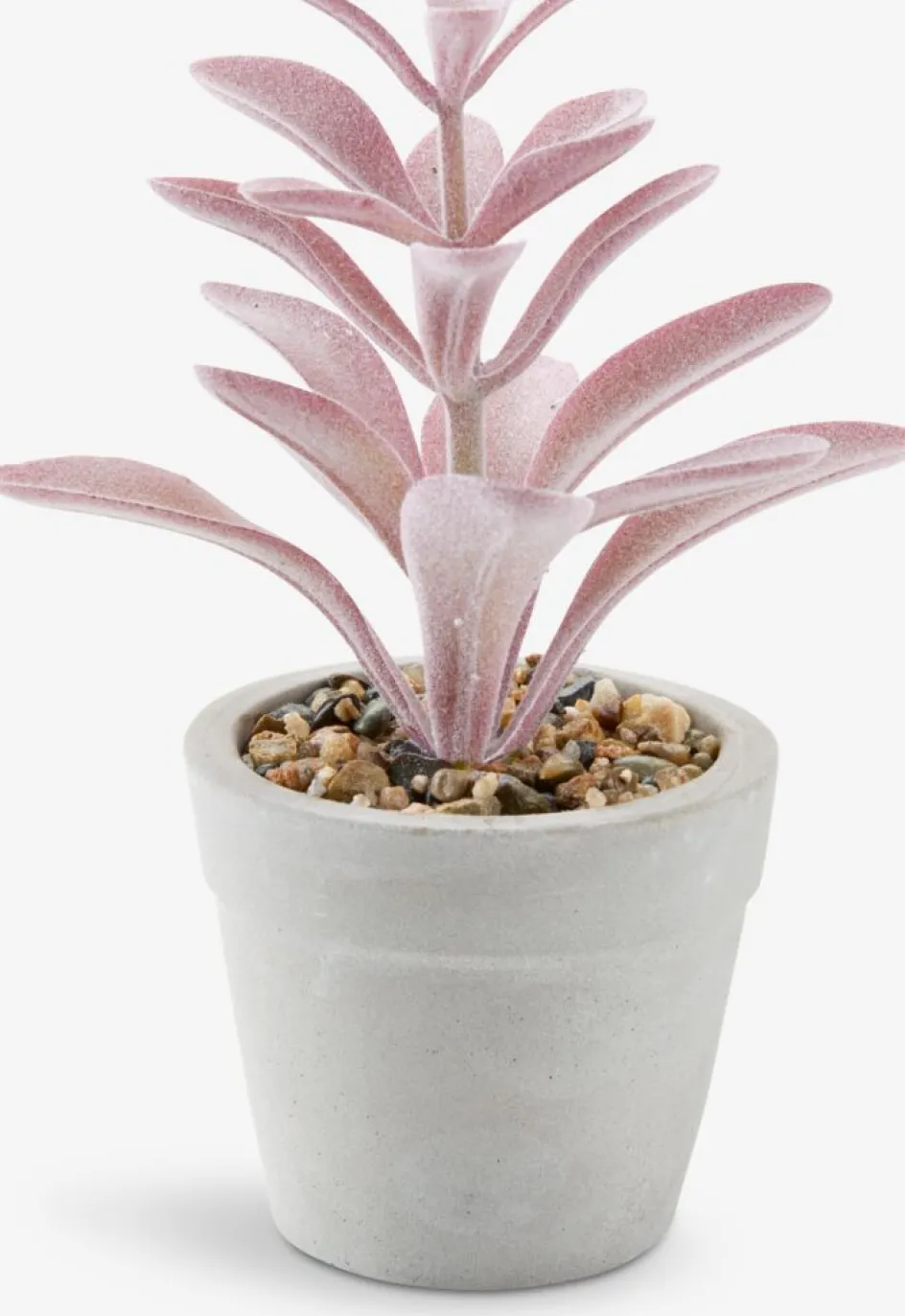 LOVEPlante artificielle LOVE Ø7xH15 ass.-JYSK Outlet