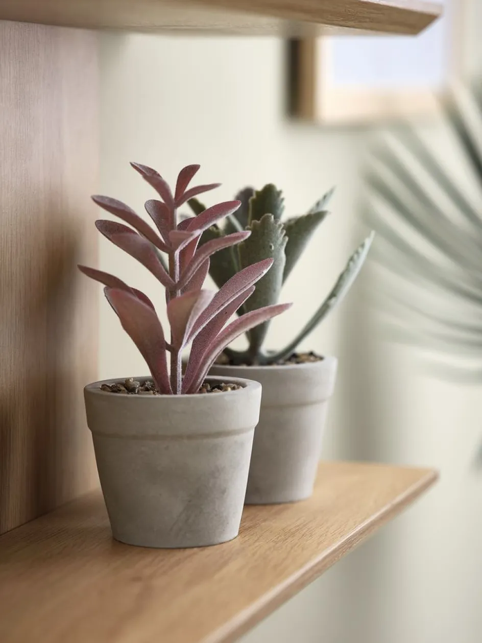 LOVEPlante artificielle LOVE Ø7xH15 ass.-JYSK Outlet