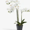 MATINUSPlante artificielle MATINUS H62cm orchidée blanche-JYSK Discount