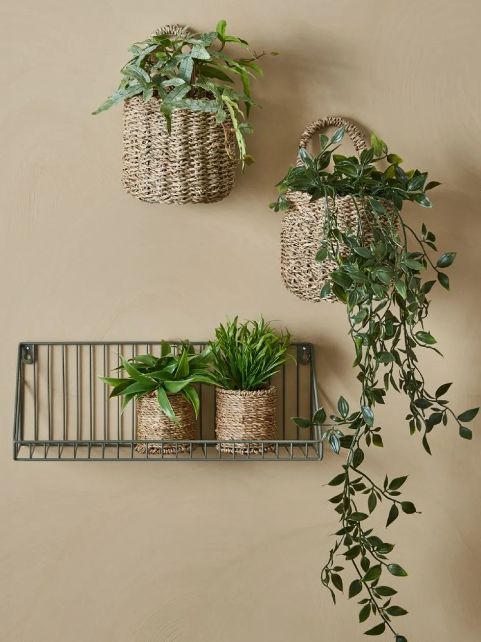 OLIVERPlante artificielle OLIVER L62cm à suspendre-JYSK New