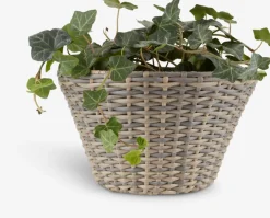 REDDIKBac à fleurs REDDIK l18xL30xH18 assorti-JYSK Best