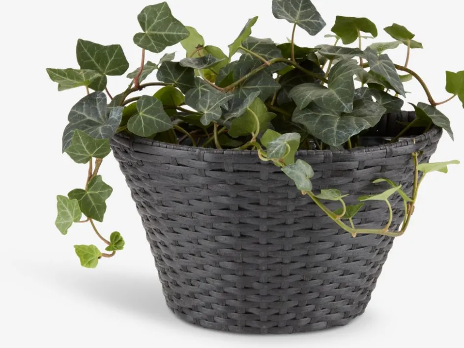 REDDIKBac à fleurs REDDIK l18xL30xH18 assorti-JYSK Best