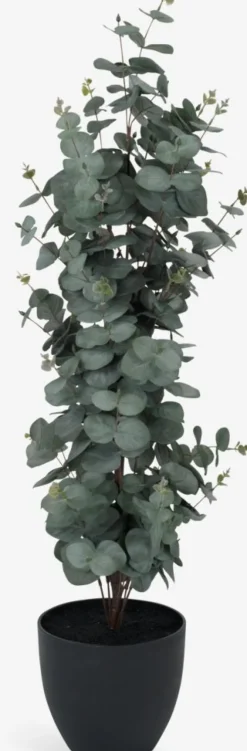 RIPAPlante artificielle RIPA H90cm eucalyptus vert-JYSK Clearance
