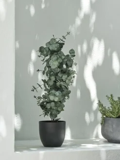 RIPAPlante artificielle RIPA H90cm eucalyptus vert-JYSK Clearance