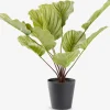 ROLFPlante artificielle ROLF H55cm vert-JYSK Discount