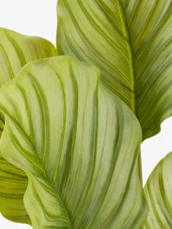 ROLFPlante artificielle ROLF H55cm vert-JYSK Discount